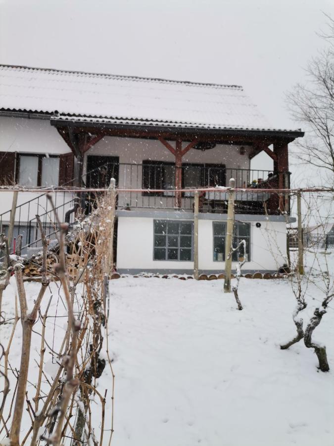 Villa Marijana Varazdinske Toplice Exterior photo